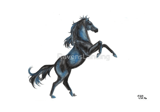 fbnighthorsewatermark